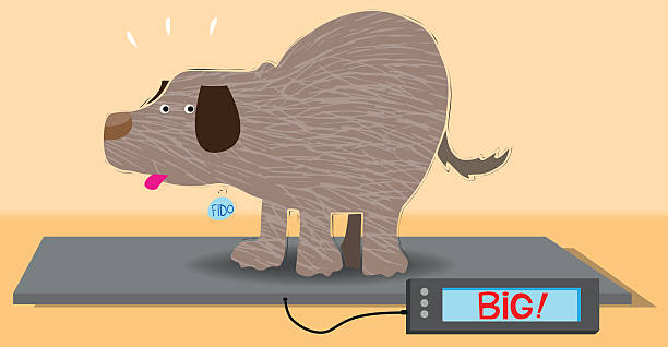 puppy weight chart