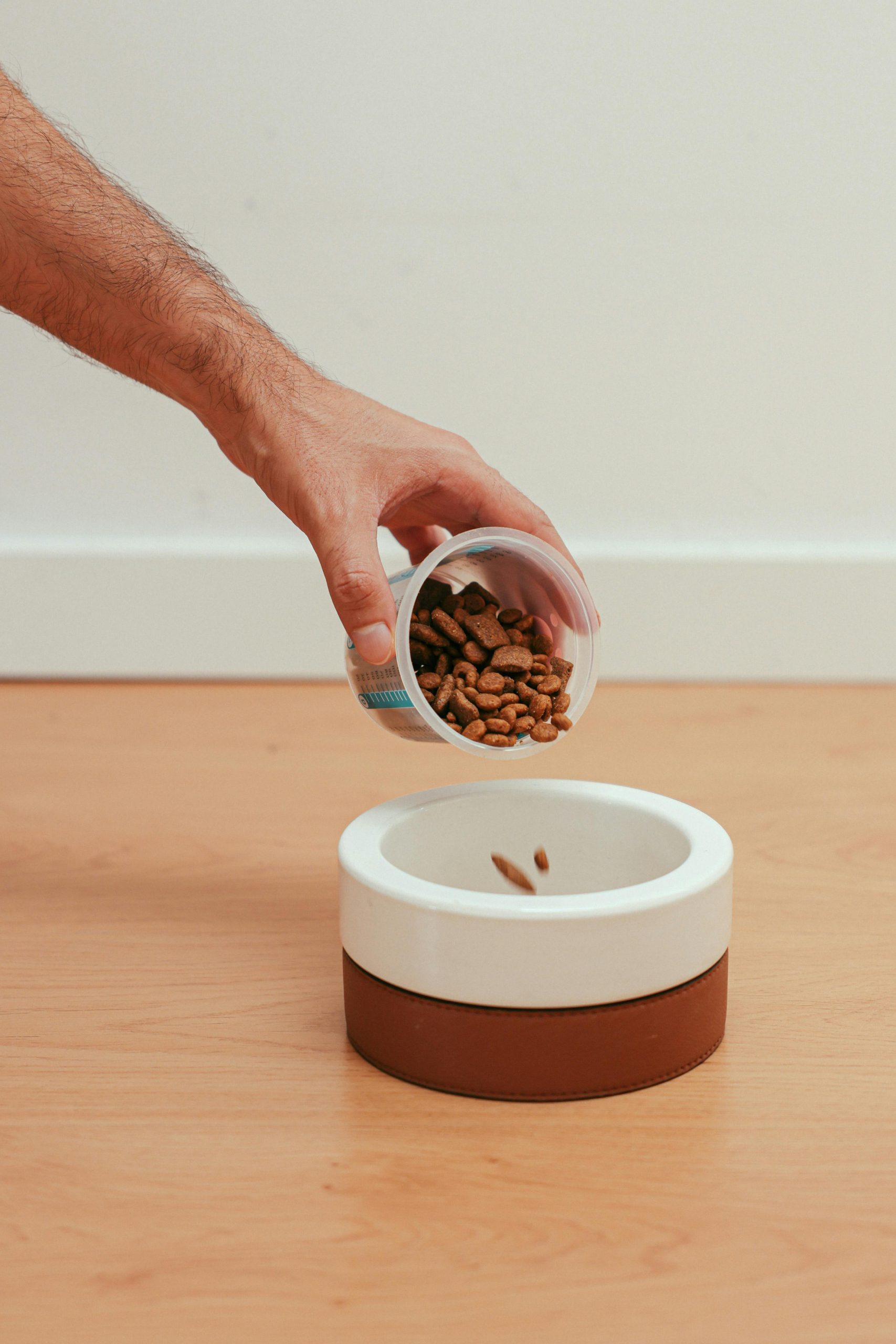Close-up of hand pouring dry dog food from a plastic cup into a modern dog bowl on a wooden floor.