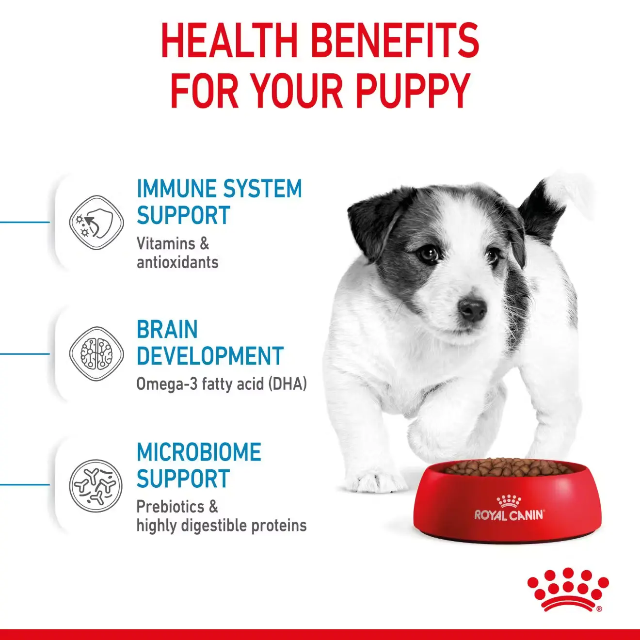 sol hero image mini puppy dry gb2
